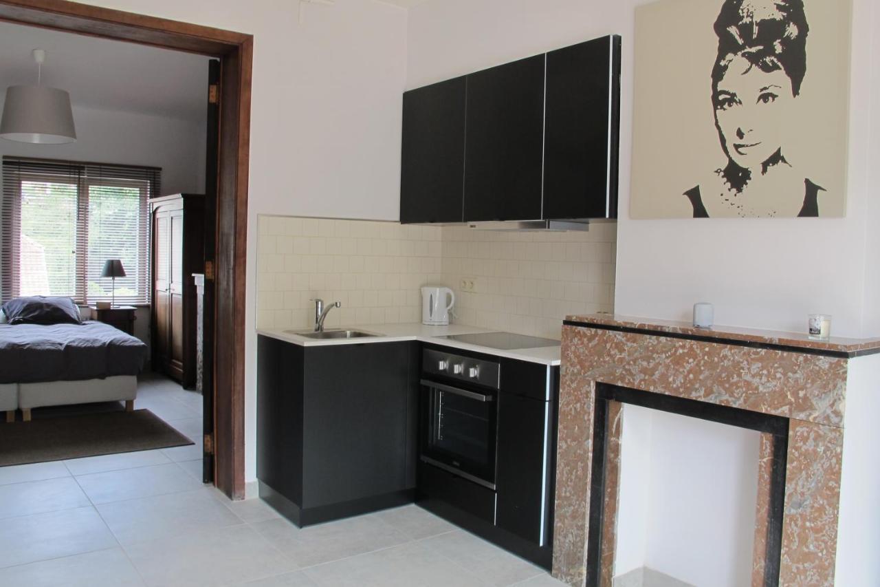Brussels Downtown With Terrace Apartment Bagian luar foto